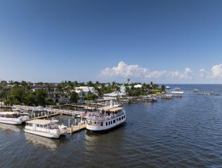 boats on water