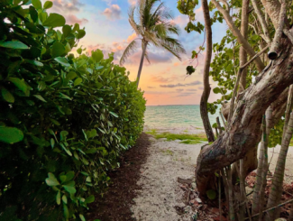 Tour hidden gems with Captain Buddy's Island Tours